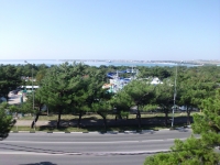 09.jpg