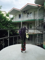 06.jpg
