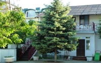 02.jpg