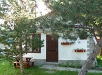06.jpg