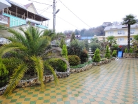 03.JPG