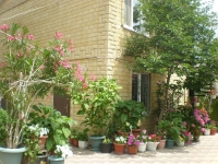 01.JPG