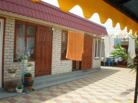 05.JPG