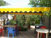 06.JPG