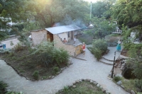06.jpg