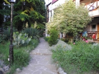 09.jpg