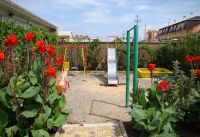 06.jpg