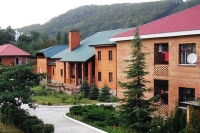 01.jpg
