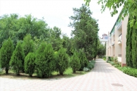 04.jpg