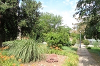 05.jpg