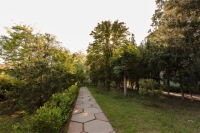 06.jpg