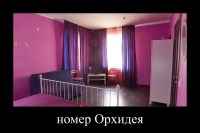 04.jpg