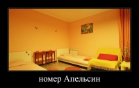 05.jpg
