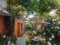 01.jpg