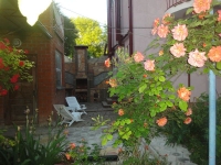 06.jpg