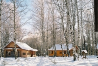 07.JPG